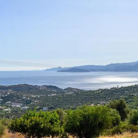 Althea By Breathtaking View
